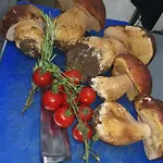 къща томови,стаи за гости Гостевой дом