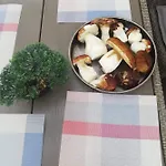 Гостевой дом къща томови,стаи за гости