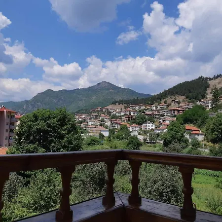 къща томови,стаи за гости 4* 代温