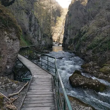 Къща за гости къща томови,стаи за гости 4*
