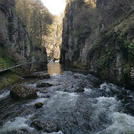 къща томови,стаи за гости 招待所 代温