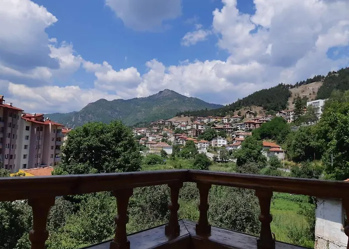 къща томови,стаи за гости 4* 代温