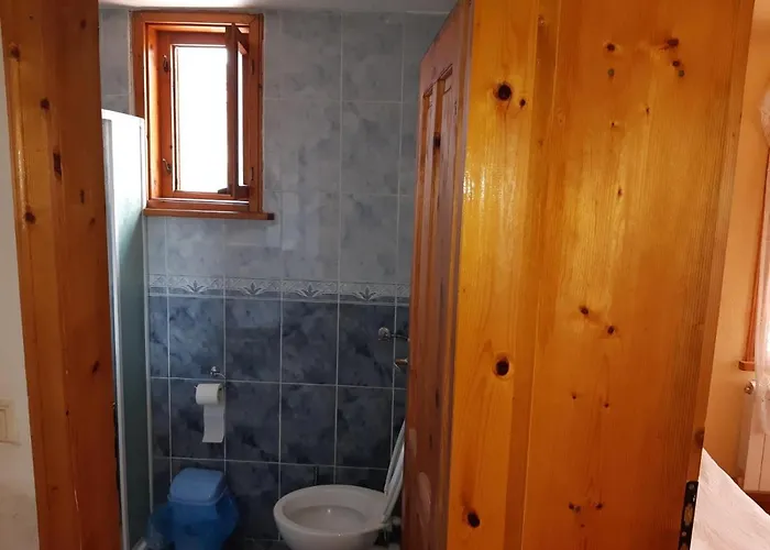 招待所 къща томови,стаи за гости 4*