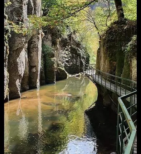 招待所 къща томови,стаи за гости 代温