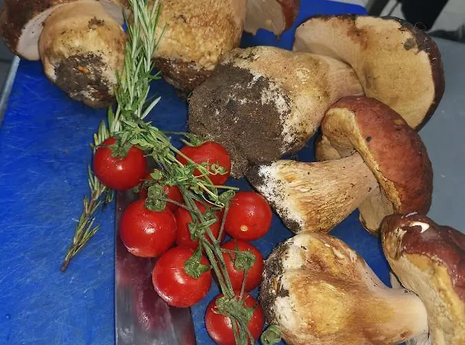 къща томови,стаи за гости 招待所