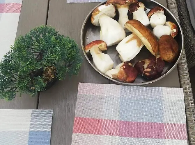 招待所 къща томови,стаи за гости